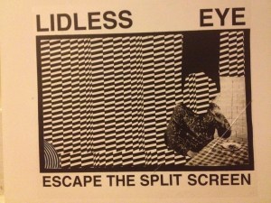 Lidless Eye: Escape The Split Screen