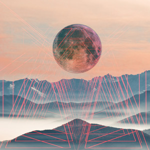 Black Bug: Reflecting The Light