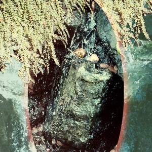 Floating Gardens: Generalife tape