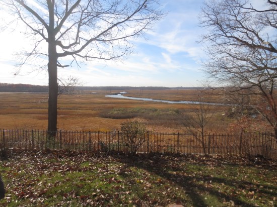 The backyard of Justin and Becca's (old) house