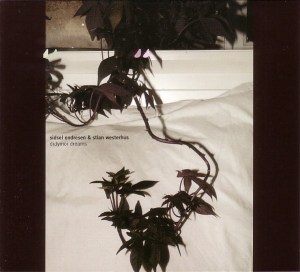 Sidsel Endresen & Stian Westerhus: Didymoi Dreams