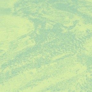 Brett Naucke: Seed LP