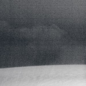 Austin Buckett: Sand Stems 1-7