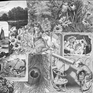 Ergo Phizmiz: The Peacock