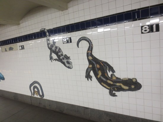 subway stop for Museum Of Science & Natural History, NYC