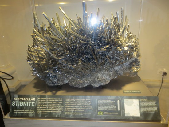 Museum Of Science & Natural History, NYC