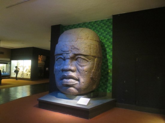 Museum Of Science & Natural History, NYC