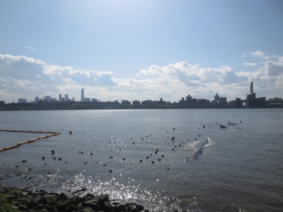 East River/Manhattan skyline from Williamsburg