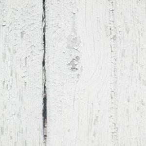 Seth Cluett: Forms of Forgetting 