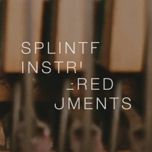 Matthew Collings: Splintered Instruments LP