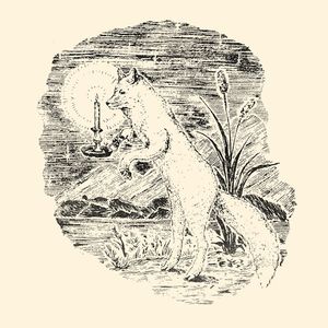 Rima Kato: Faintly Lit