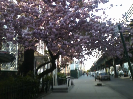 walking through Astoria