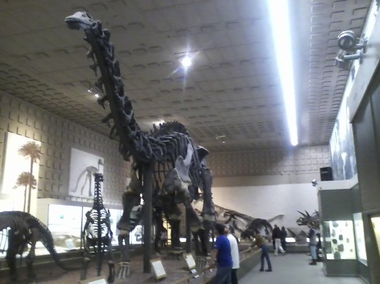 Peabody Museum, New Haven, CT