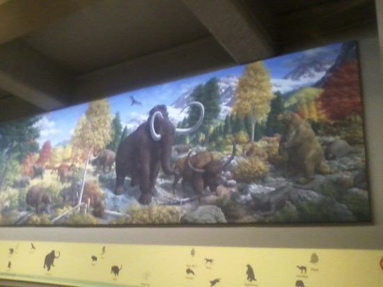 Peabody Museum, New Haven, CT