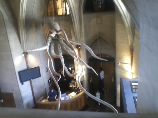 Peabody Museum, New Haven, CT