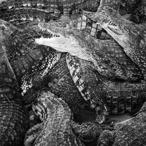 Emilie Levienaise-Farrouch: Like Water Through the Sand