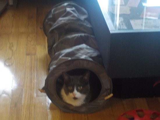 Claudius in his tunnel