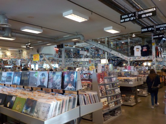 inside Amoeba