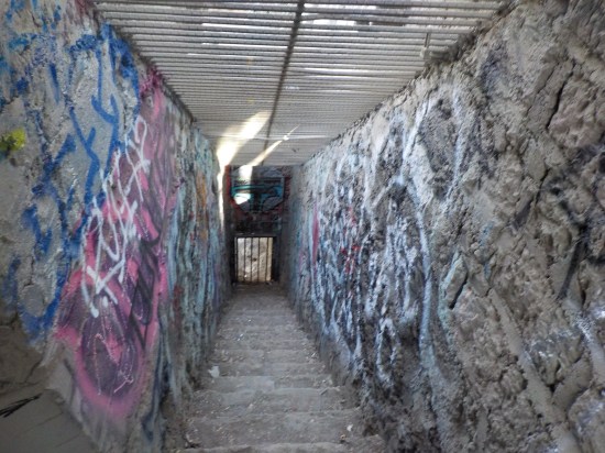 wandering around the abandoned zoo